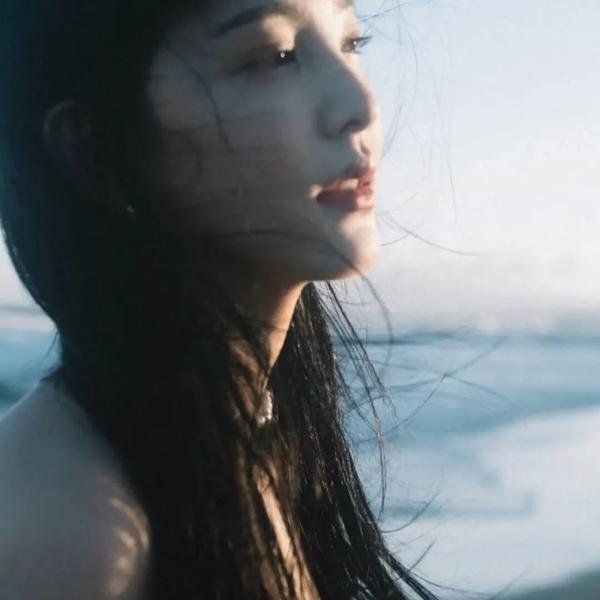 候燕 海报